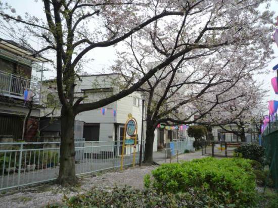 higashi sakura 2.jpg